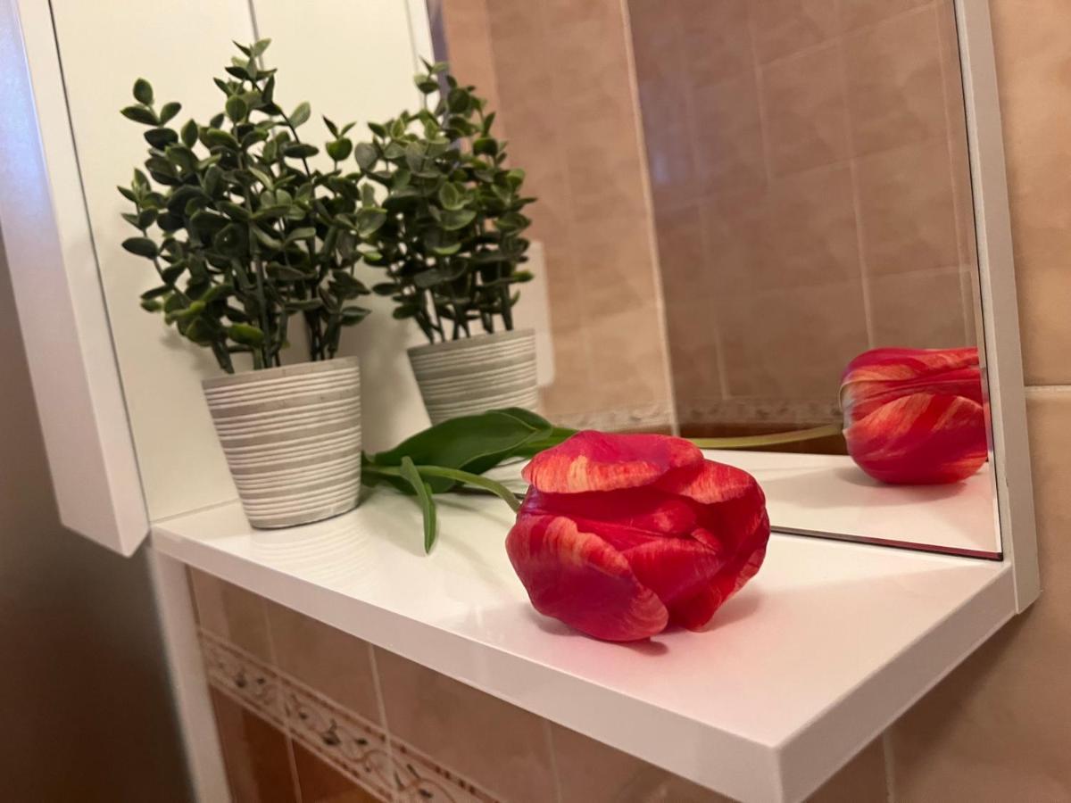 Apartment Lala Zombor Kültér fotó