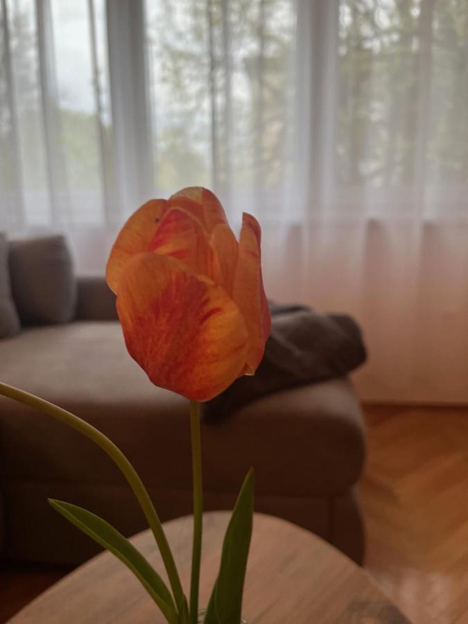Apartment Lala Zombor Kültér fotó